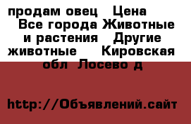  продам овец › Цена ­ 100 - Все города Животные и растения » Другие животные   . Кировская обл.,Лосево д.